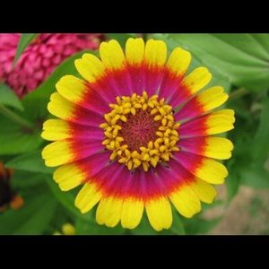 Meet your Posher, Or